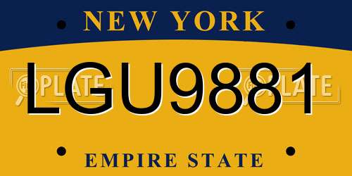 LGU9881 New York License Plate