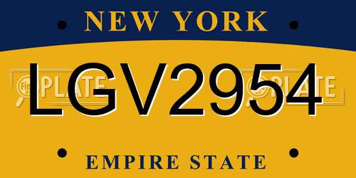 LGV2954 New York License Plate