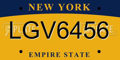 LGV6456 New York License Plate