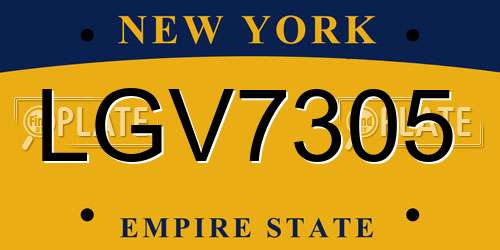 LGV7305 New York License Plate