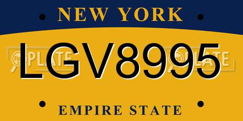 LGV8995 New York License Plate