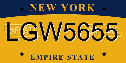 LGW5655 New York License Plate