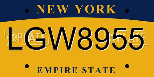 LGW8955 New York License Plate
