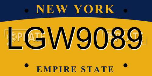 LGW9089 New York License Plate