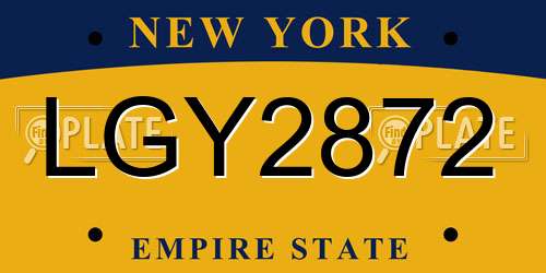 LGY2872 New York License Plate