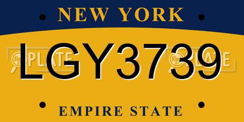 LGY3739 New York License Plate