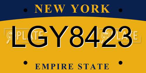 LGY8423 New York License Plate