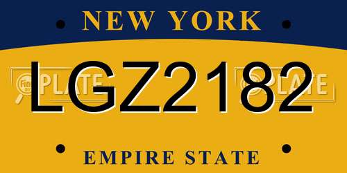 LGZ2182 New York License Plate
