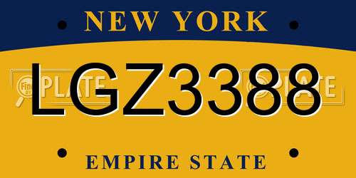 LGZ3388 New York License Plate
