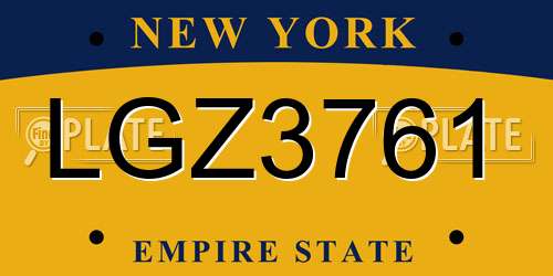 LGZ3761 New York License Plate
