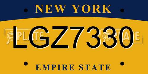 LGZ7330 New York License Plate