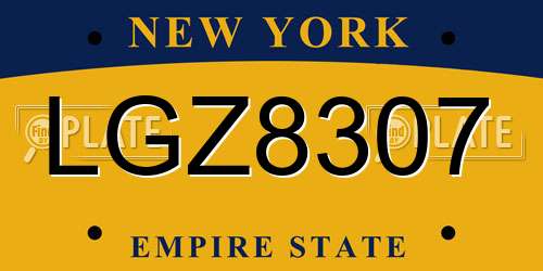 LGZ8307 New York License Plate