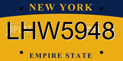 LHW5948 New York License Plate