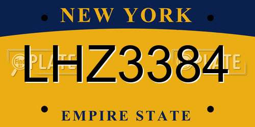 LHZ3384 New York License Plate