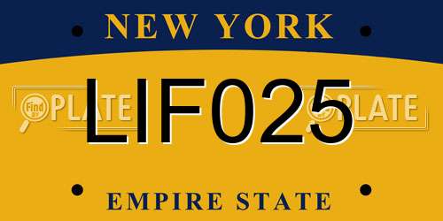 LIF025 New York License Plate