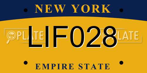 LIF028 New York License Plate