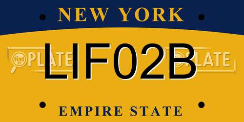 LIF02B New York License Plate