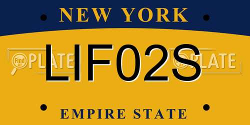 LIF02S New York License Plate