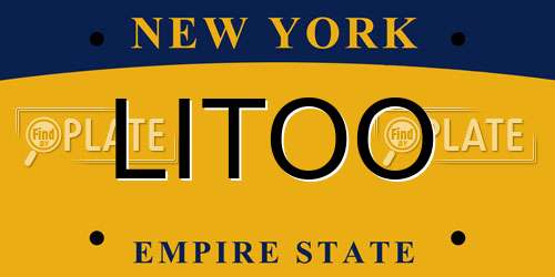 LITOO New York License Plate