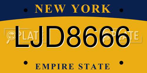 LJD8666 New York License Plate