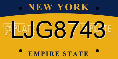 LJG8743 New York License Plate