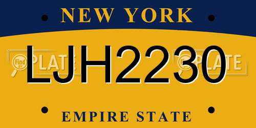 LJH2230 New York License Plate