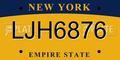 LJH6876 New York License Plate