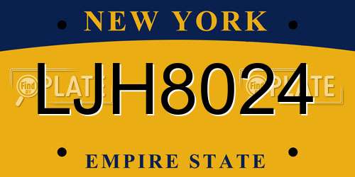 LJH8024 New York License Plate