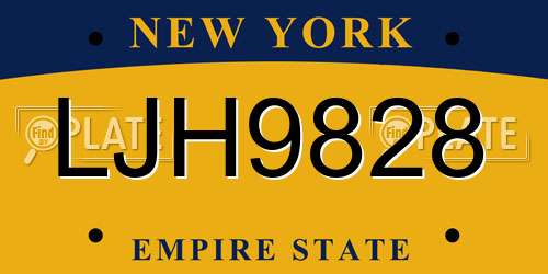 LJH9828 New York License Plate