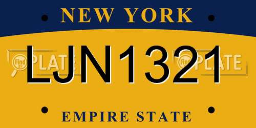 LJN1321 New York License Plate