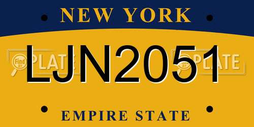 LJN2051 New York License Plate