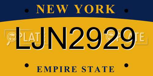 LJN2929 New York License Plate