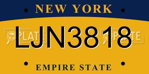 LJN3818 New York License Plate
