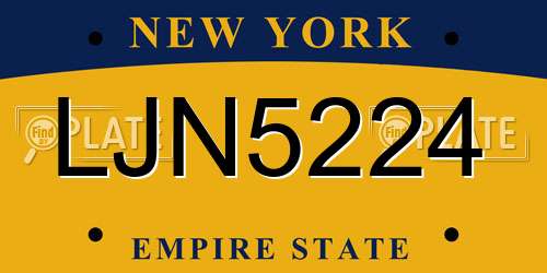 LJN5224 New York License Plate