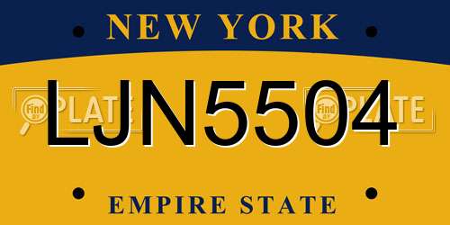 LJN5504 New York License Plate