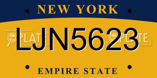 LJN5623 New York License Plate