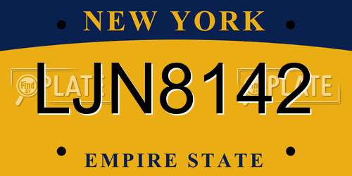 LJN8142 New York License Plate