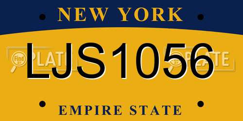 LJS1056 New York License Plate