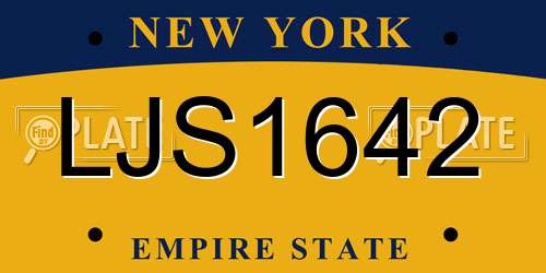 LJS1642 New York License Plate