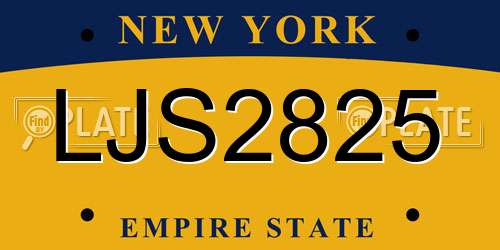LJS2825 New York License Plate