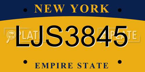LJS3845 New York License Plate