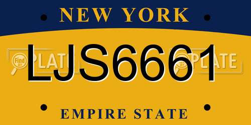 LJS6661 New York License Plate