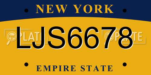 LJS6678 New York License Plate