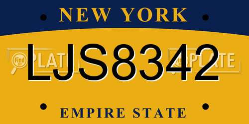 LJS8342 New York License Plate