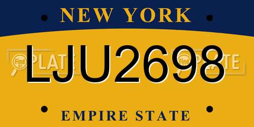 LJU2698 New York License Plate