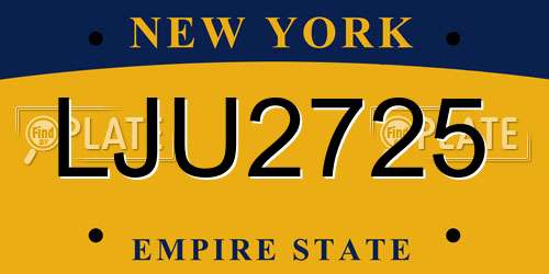 LJU2725 New York License Plate