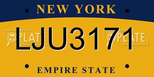 LJU3171 New York License Plate