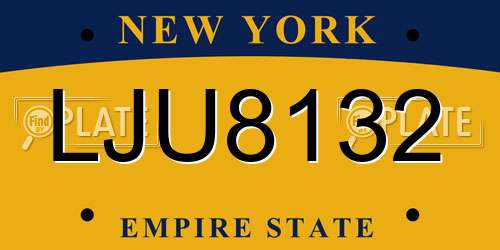 LJU8132 New York License Plate
