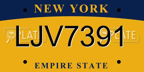 LJV7391 New York License Plate