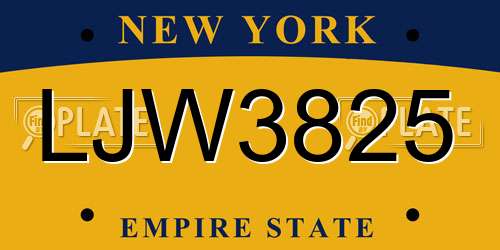 LJW3825 New York License Plate